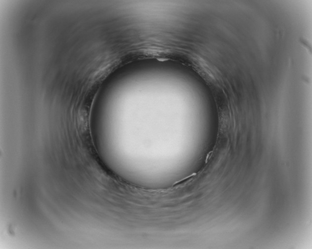 X0000096220043200802011352