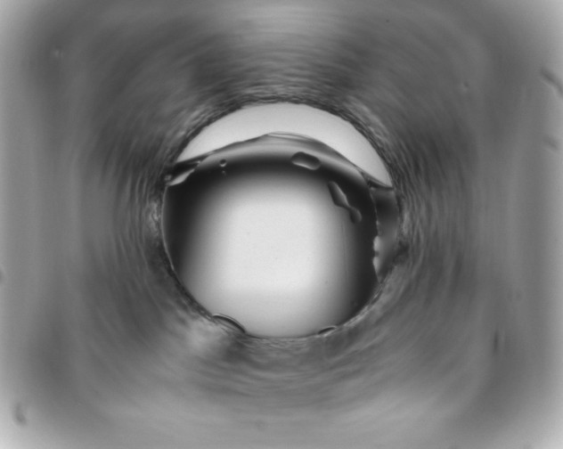 X0000096220045200802011352