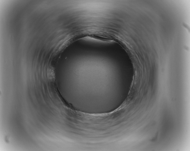 X0000096220048200802011352