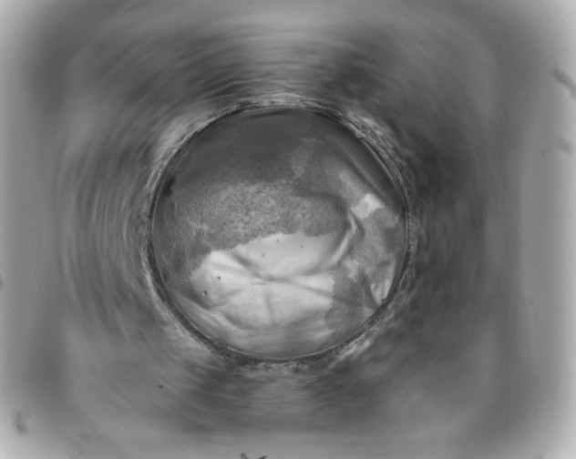 X0000096220049200802011352