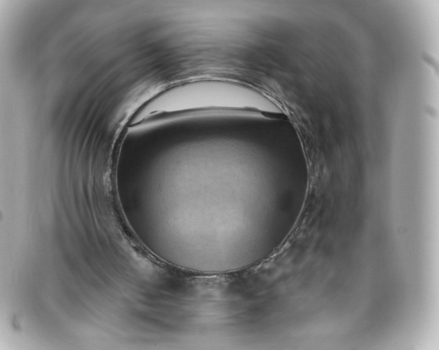 X0000096220050200802011352