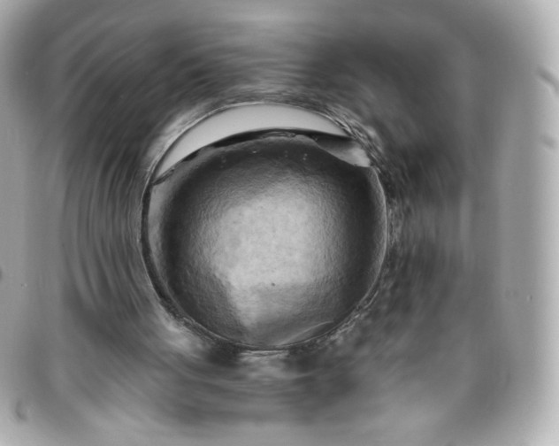 X0000096220051200802011352