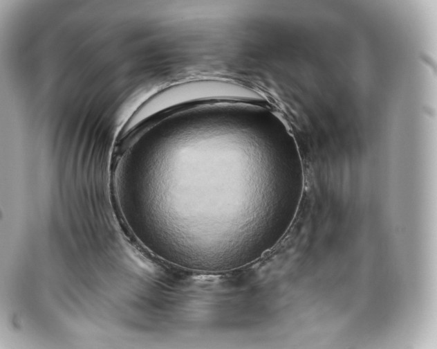 X0000096220052200802011352