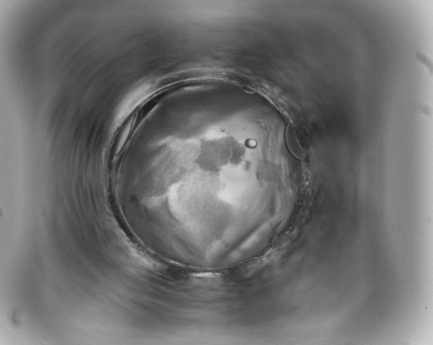 X0000096220053200802011352