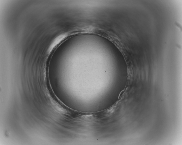 X0000096220054200802011352