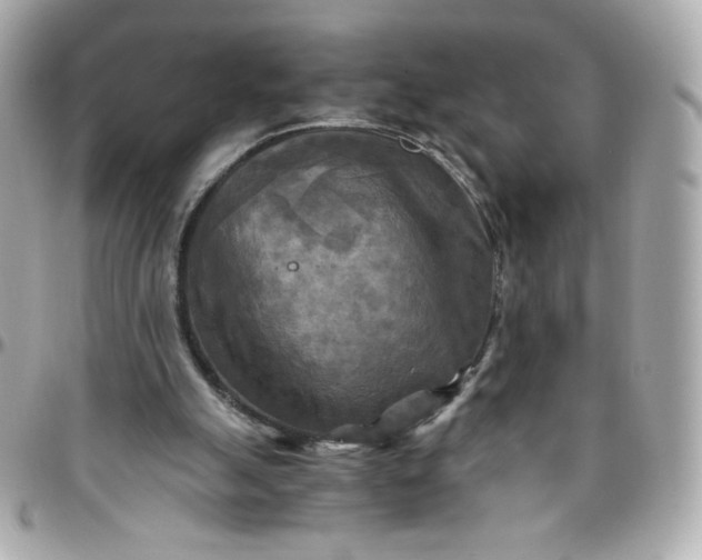 X0000096220055200802011352