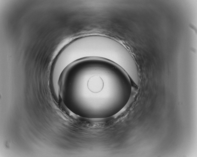 X0000096220056200802011352