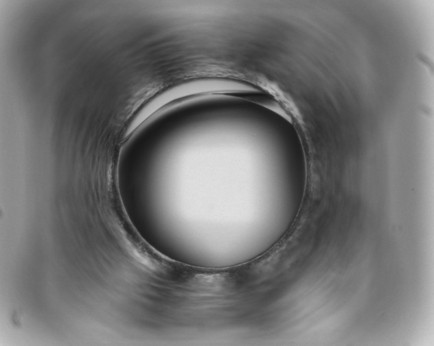 X0000096220057200802011352