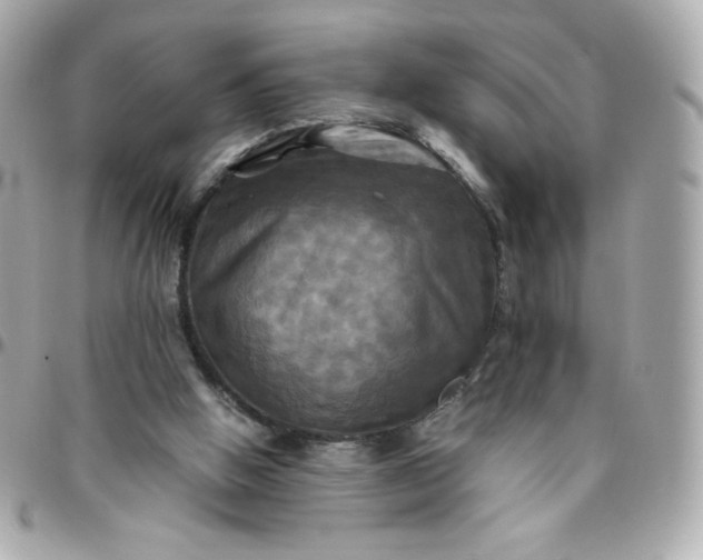 X0000096220058200802011352