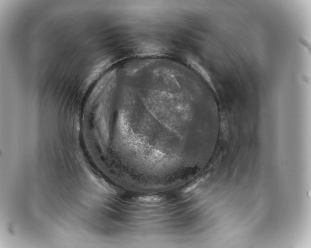 X0000096220059200802011352