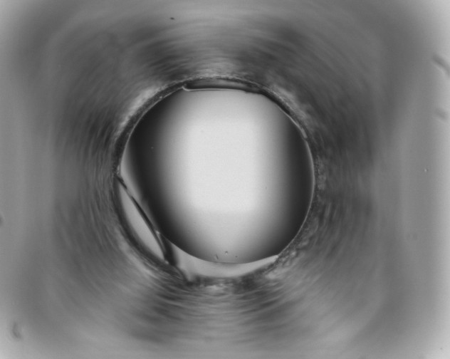 X0000096220060200802011352