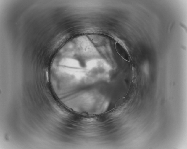 X0000096220061200802011352