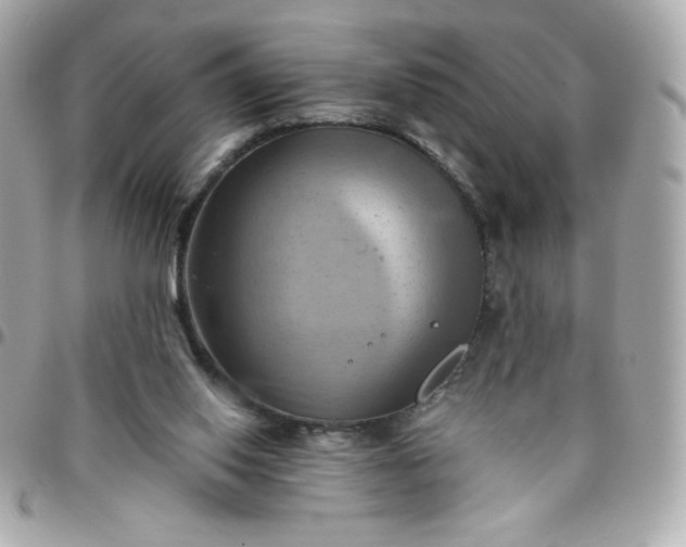 X0000096220062200802011352