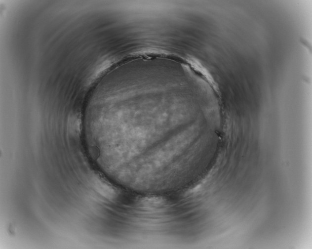 X0000096220063200802011352