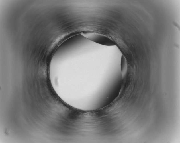 X0000096220064200802011352