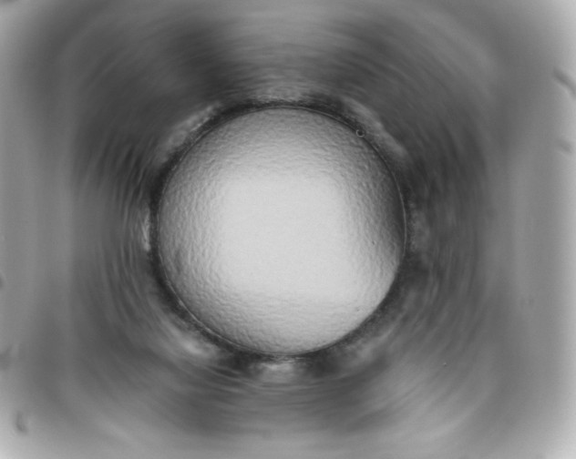 X0000096220068200802011352