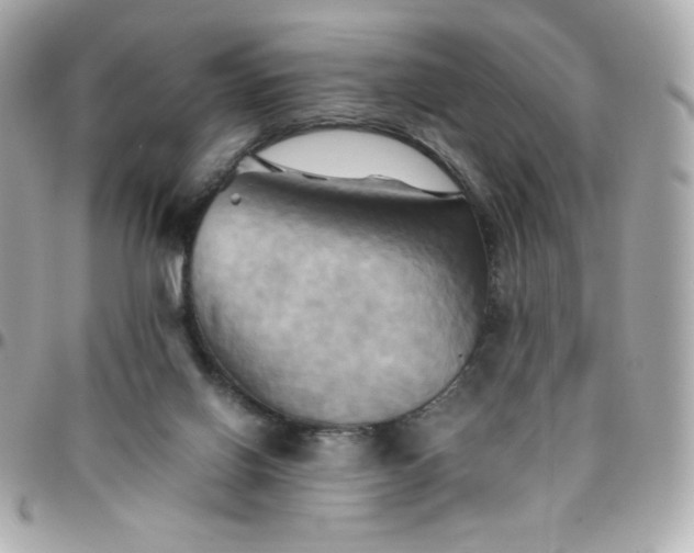 X0000096220070200802011352