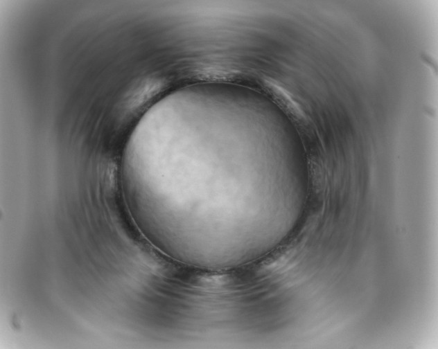 X0000096220071200802011352