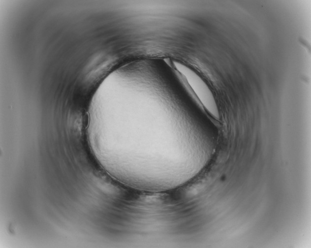 X0000096220072200802011352