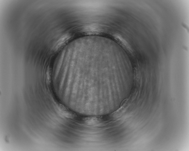 X0000096220074200802011352