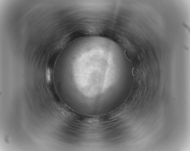 X0000096220075200802011352