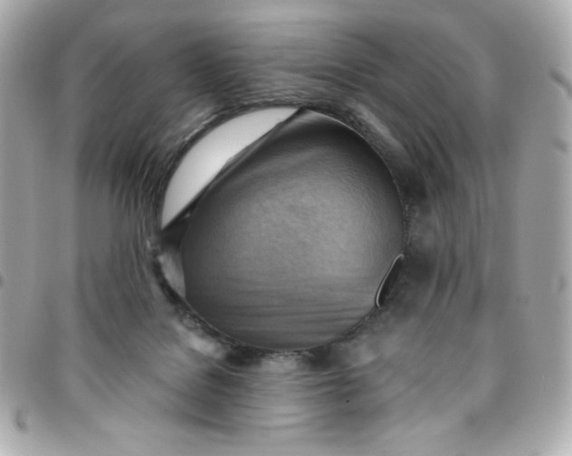 X0000096220076200802011352