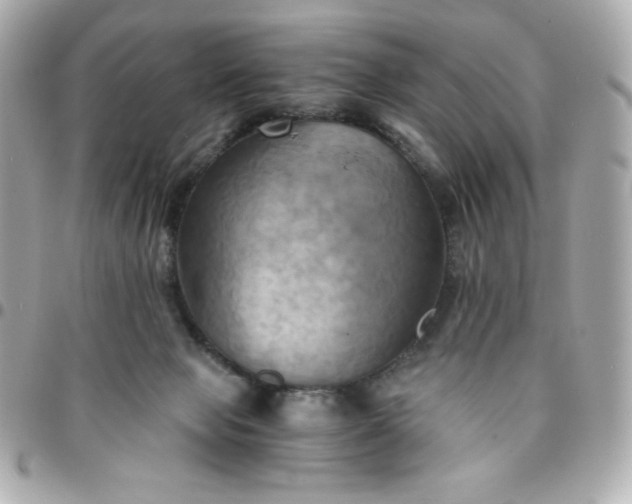 X0000096220077200802011352