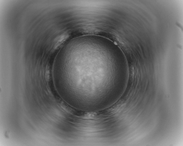 X0000096220080200802011352