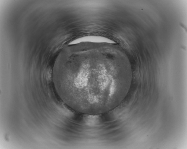 X0000096220081200802011352