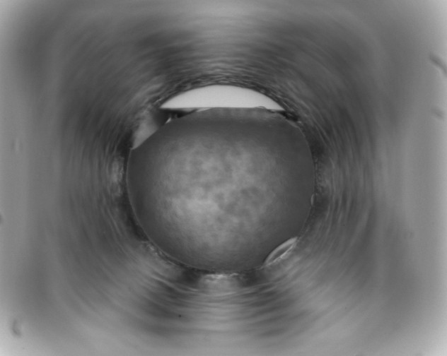 X0000096220082200802011352