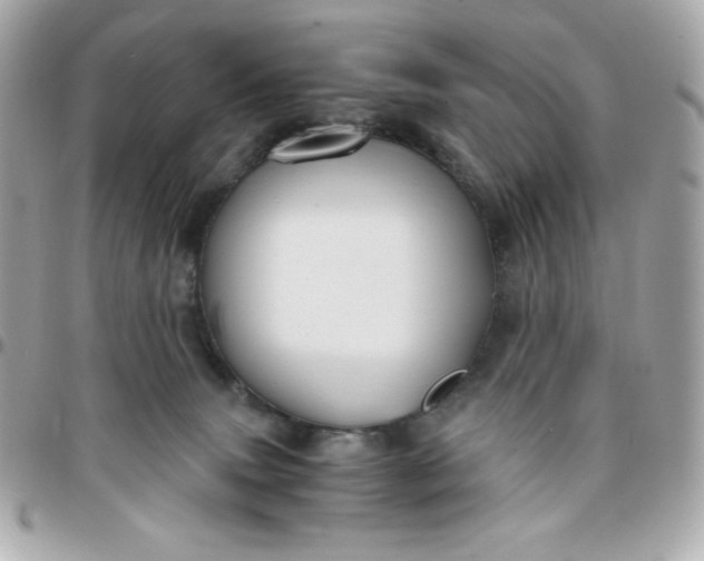 X0000096220083200802011352