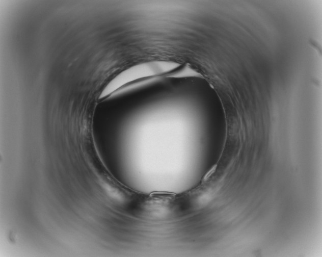 X0000096220084200802011352