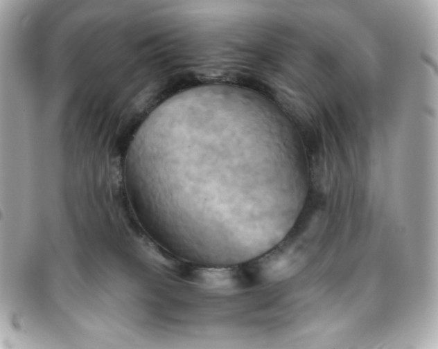 X0000096220085200802011352