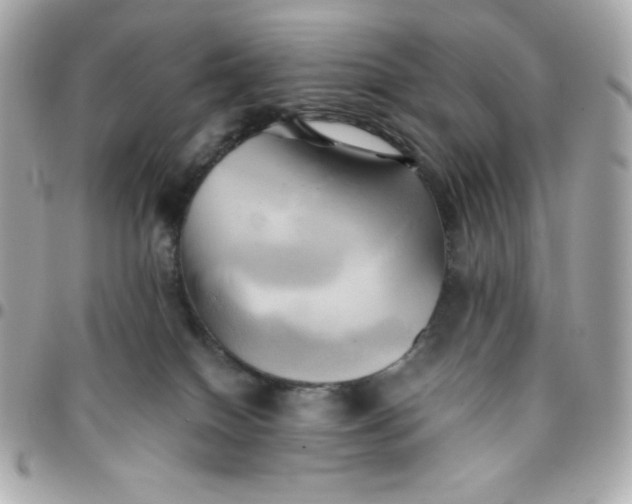 X0000096220086200802011352