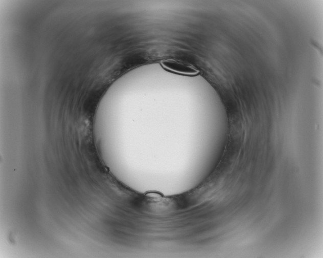 X0000096220087200802011352