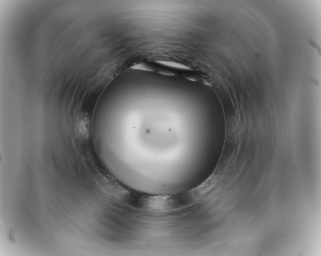 X0000096220090200802011352