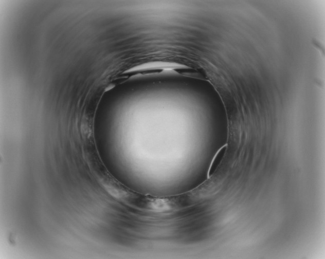 X0000096220091200802011352