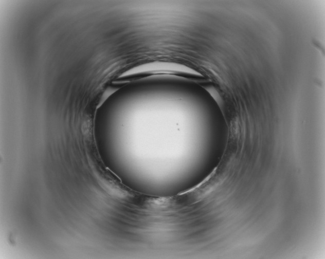 X0000096220092200802011352