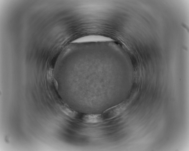 X0000096220093200802011352