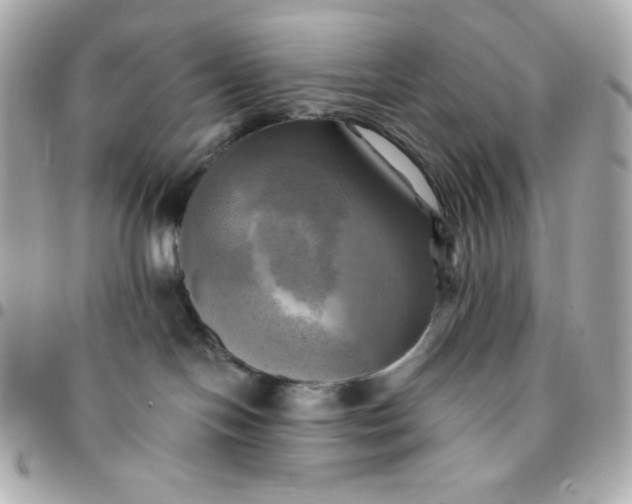 X0000096220094200802011352