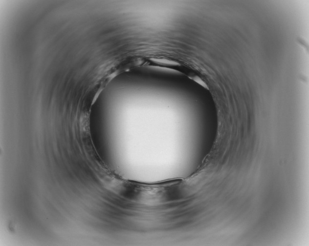 X0000096220096200802011352