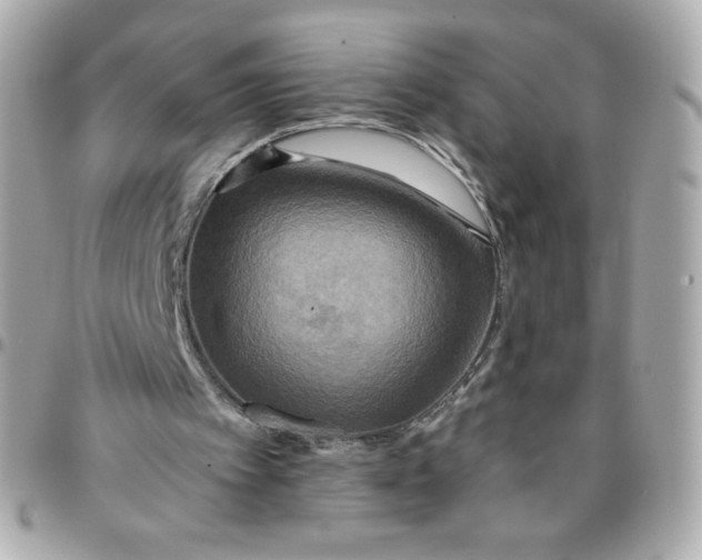 X0000096220097200802011352