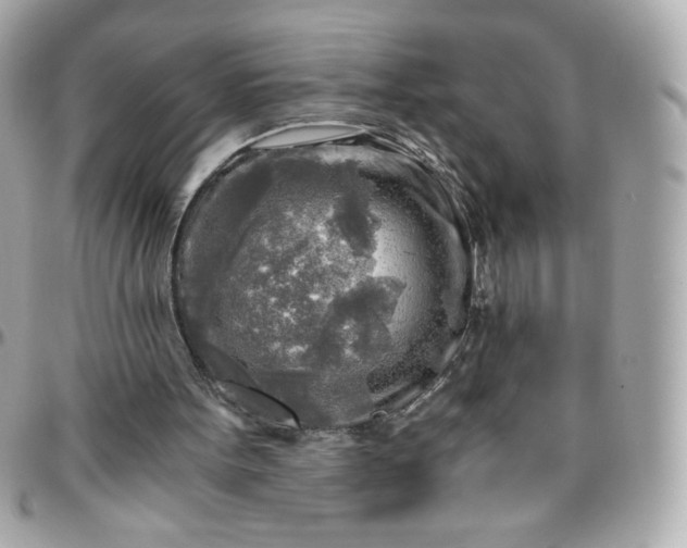 X0000096220099200802011352