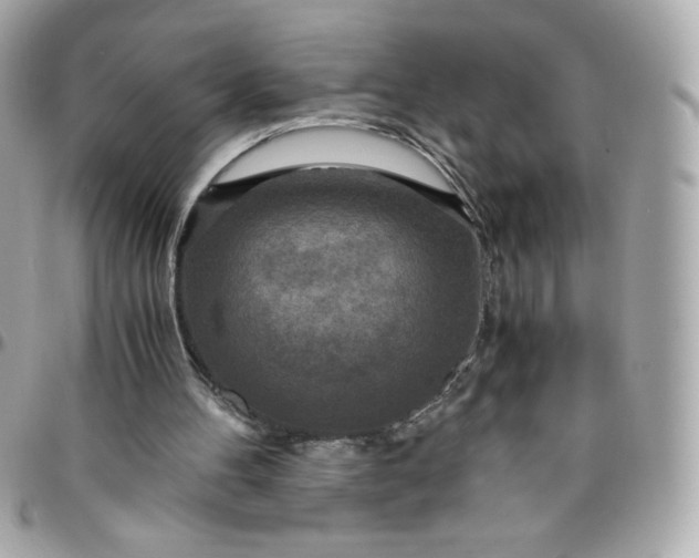 X0000096220100200802011352