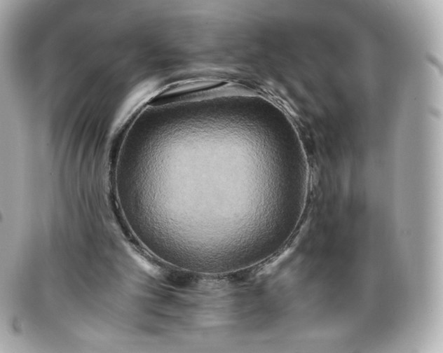 X0000096220101200802011352