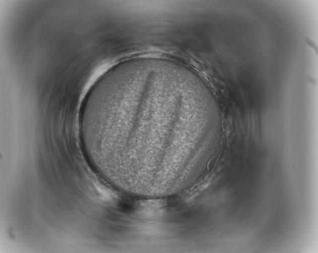 X0000096220102200802011352