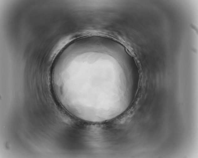 X0000096220103200802011352