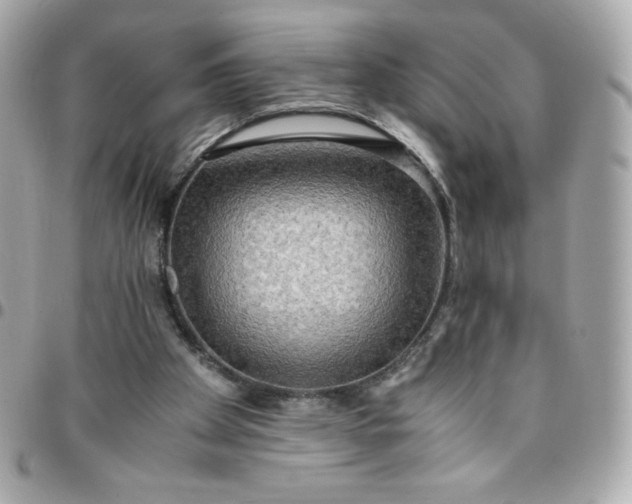 X0000096220105200802011351