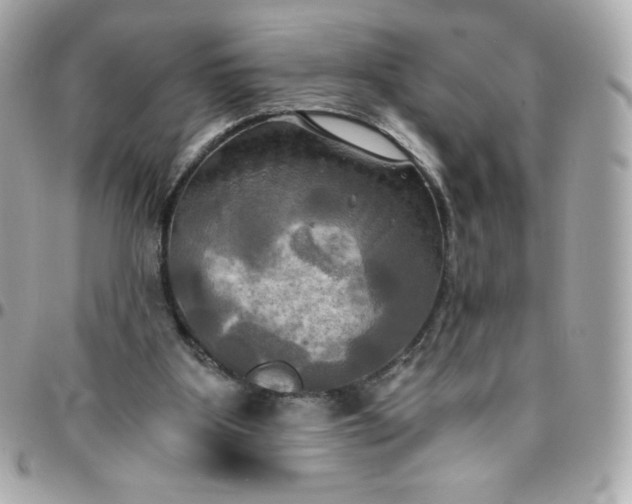 X0000096220107200802011351