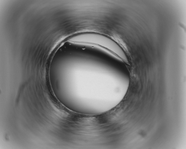 X0000096220108200802011351